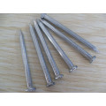 Galvanized Steel Concrete Nail